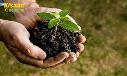 पौधों को संतुलित पोषण के लिए आवश्यक होता है मृदा परिक्षण, जानिए मृदा परिक्षण के उद्देश्य, नमूना लेने का प्रयोजन और तरीका